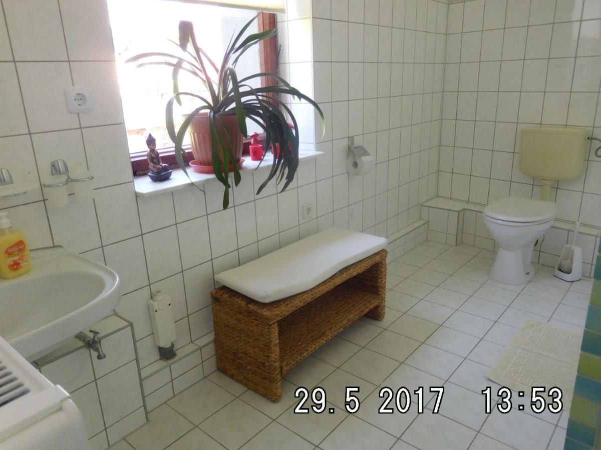 Ferienwohnung Am Schloss Torgau Bagian luar foto