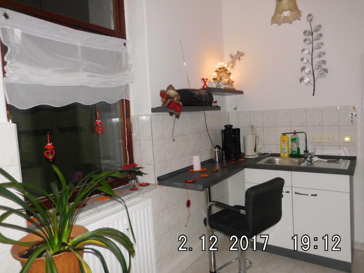 Ferienwohnung Am Schloss Torgau Bagian luar foto